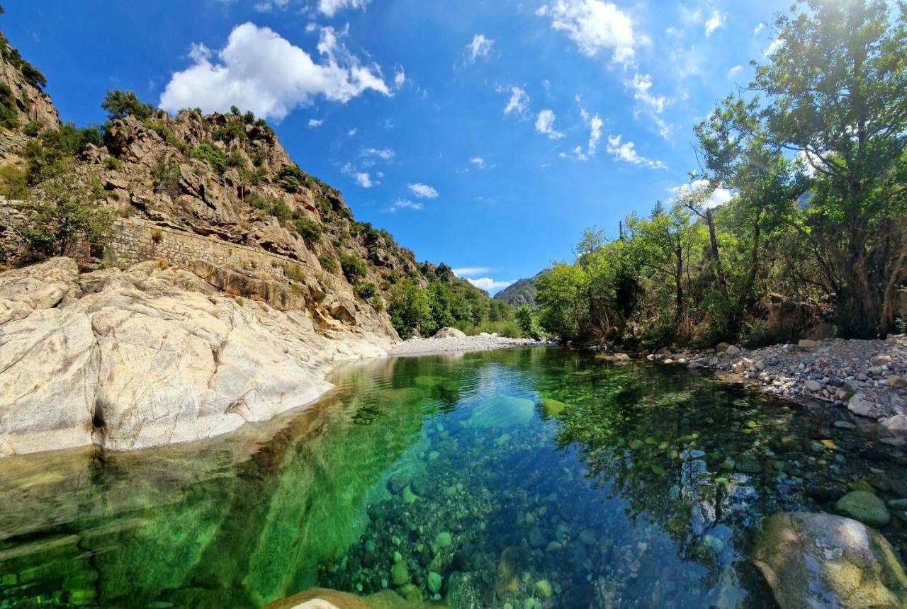 Pianotolinca - Rez De Villa Entre Mer Et Montagne Moltifao Экстерьер фото